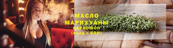 гидра Горнозаводск