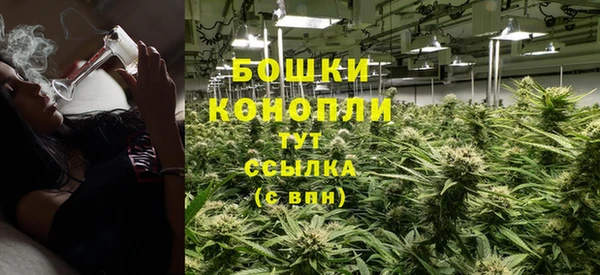 гидра Горнозаводск