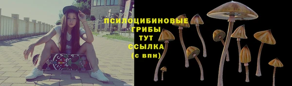 твердый Гусь-Хрустальный