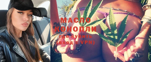 гидра Горнозаводск