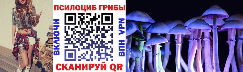 Купить закладки  Дубовка  Галлюциногенные грибы прущие грибы 